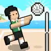 jeux de volleyball